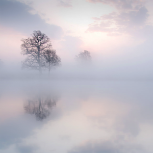 果冻传媒一级毛片视频
