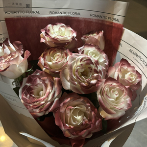 果冻传媒一级毛片视频
