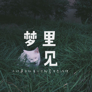 果冻传媒一级毛片视频
