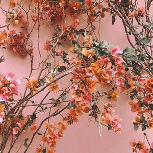 果冻传媒一级毛片视频
